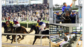 평균기록 1.04초 단축…국산마 승률 9% 향상