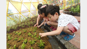 “여름방학, 부산경마장서 곤충체험 하세요”
