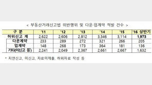 ‘부동산 실거래가 허위신고 등 1973건 적발’…126억 과태료 부과