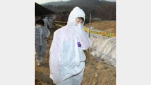 부산 가스냄새 부취제 추정… 정체는 뭐고 인체에는 어떤 영향?