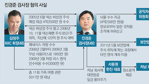 ‘4000원 부당 이득’도 구속했던 진경준, ‘9억원 뇌물우정’ 게임왕 김정주와 몰락