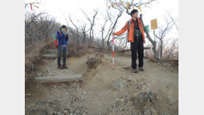 축구장 107개 규모만큼 맨살 드러낸 백두대간…왜?