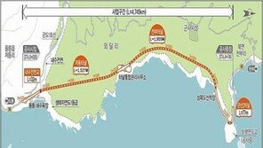 울릉 일주도로 저동터널-천부터널 4년 7개월만에 개통