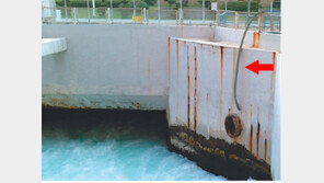 동서발전, 유해물질 500t 바다에 콸콸