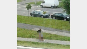 사방 트인 길에서 ‘성관계’ 男女 영상, 온라인에 ‘좌~악’