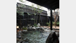 펫 동반 숙박지 톱10..뭐가 달라?