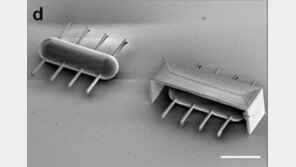 DGIST 연구팀, 세계 최초 ‘짚신벌레 로봇’ 개발…역할은?