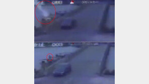 ‘번쩍!’ 벼락 맞아 숨진 男…교통 카메라 포착 영상 ‘충격’