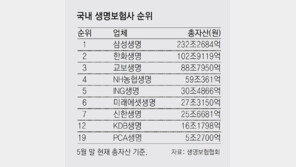 달아오르는 중소형 보험사 인수전