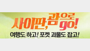 괌/사이판으로 포켓 괴물 잡으러 가자!