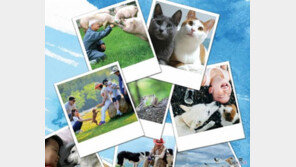 제9회 동물사랑 사진공모전 개최