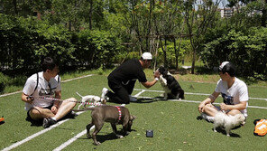 [오늘의 채널A] 양세형·세찬 형제, 반려견 조기교육