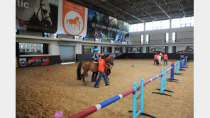 ‘제주에서 서울까지’ 100억짜리 말 수송 대작전