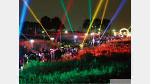 여름밤을 누비다