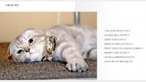 냥이의 시선으로 쓴 ‘고양이의 시’