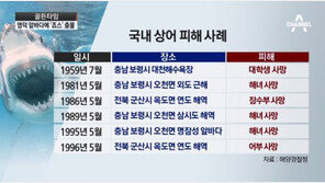 영덕 앞바다서 상어 발견…국내 상어 피해사례 보니 ‘6명 사망’