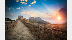 [책의 향기]중국은 왜 ‘짝퉁 천국’이 됐을까