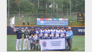 한국리틀야구, 리틀리그 월드시리즈 준우승