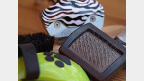 강아지 목욕시킬 때 하는 실수 5가지