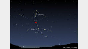 12일 밤, 페르세우스 별똥별 쏟아진다…잘 볼 수 있는 방법은?