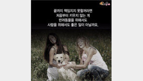 버림받는 반려동물의 슬픔