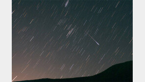 12일 밤 시간당 150개 ‘별똥별 쇼’