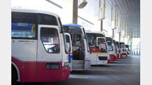 "고속버스 택배로 강아지 보낸다고요?"