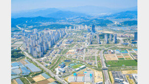 저출산 비상인데… 경북도 인구 늘어났다