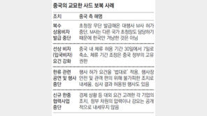 中 갑자기 ‘깐깐한 법적용’… 기업인-한류 겨냥 교묘한 보복