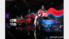 재규어 vs 티몬, 법정 공방 예고 “온라인 판매, 협의 없이 진행”