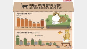 고양이가 개보다 돈 더 많이 든다