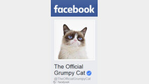 페이스북이 애견인과 애묘인의 뒤를 캐봤더니..