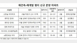 강북권 평지 재건축·재개발 아파트 ‘각광’