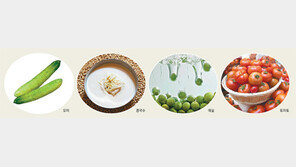 여름나기 진짜 보양식은 ‘수분―비타민―삼시세끼’