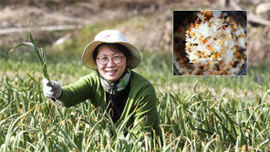 아이들 편식 없애려 만든 건조채소로 대박