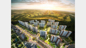 [화제의 분양현장]동탄2신도시 반도유보라 아이비파크 10.0 2단지