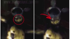 ‘예수상’이 눈을 번쩍!…‘진실 혹은 거짓?’ 영상에 시선집중