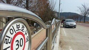 끊이지 않는 스쿨존 내 어린이 교통사고… 정비기준 세운다