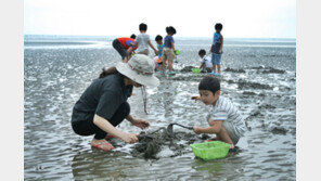 [엄마·아빠 놀러가] 고창 상하농원 삼시세끼 갯벌체험