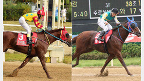 트리플나인 vs 록밴드…‘오너스컵’ 주인공은?