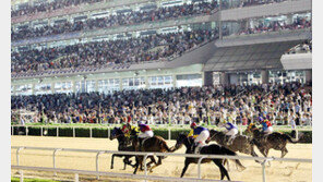 맛있는 페스티벌 ‘청춘발光’