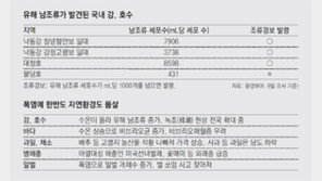 식수원 녹조 확산… 팔당호도 비상