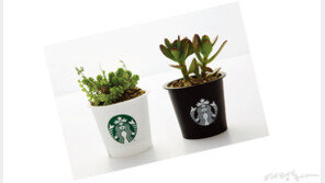 럭셔리 디저트  스타벅스 푸딩의 출생 비밀