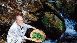 우관스님의 보리일미. 여름 채소, 토마토 레시피