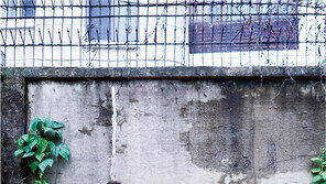 ‘딴짓’의 부전여전 씨엘&  물리학자 이기진 교수