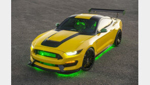 포드, 머스탱 쉘비 GT350 올레 옐러 ‘경매가 3억2000만원 낙찰’