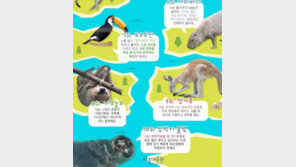 한 눈으로 보는 ‘인기동물 TOP 10’