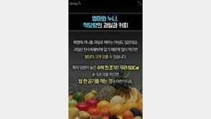 [카드뉴스]불볕 더위에 입맛 없는 요즘, 건강하게 먹는 법!