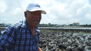 [오늘의 채널A] 제주도 84세 할아버지의 고기잡이
