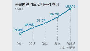 쏟아지는 반려동물 보험… “혜택 적다” 불만도 봇물